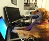2,788 People are Watching!
